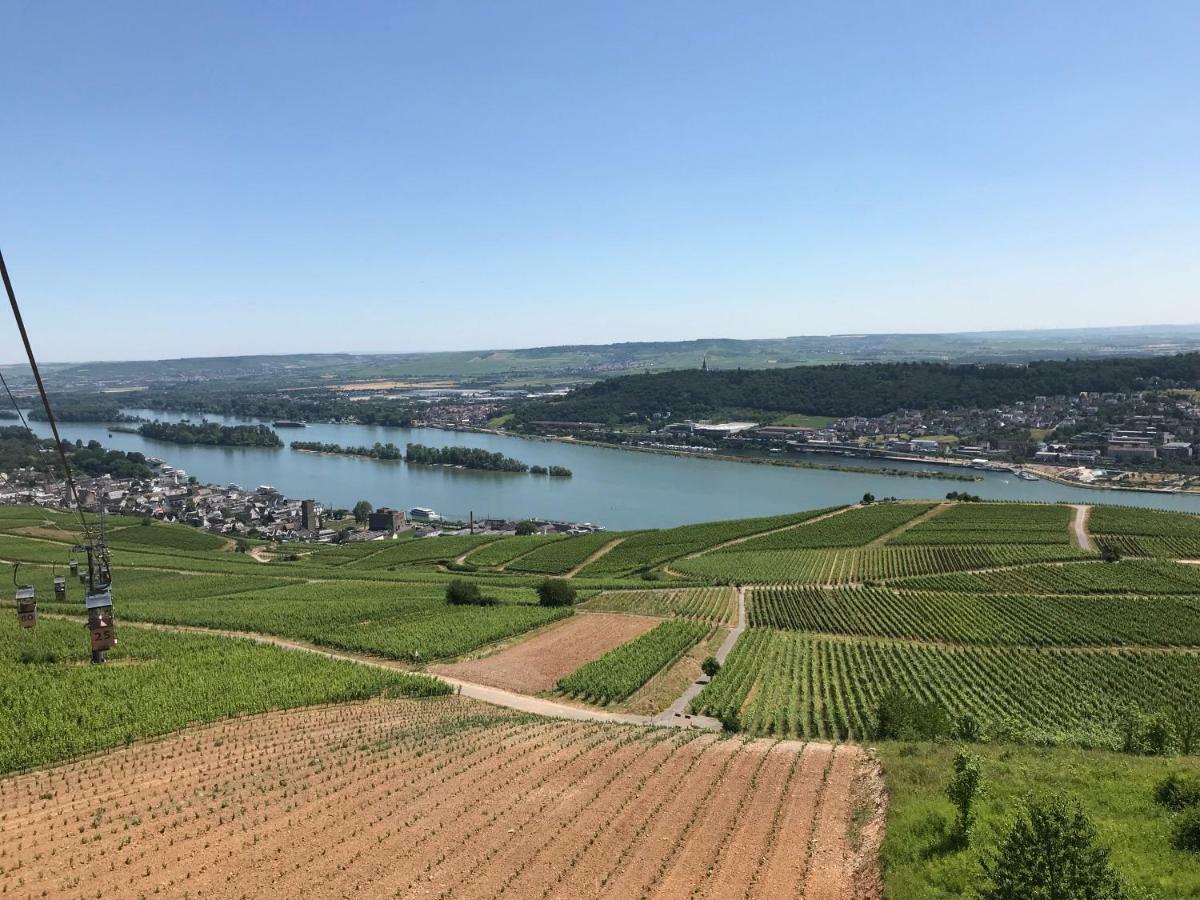 Ruedesheimer Wohlfuehloase Ruedesheim am Rhein Exterior photo
